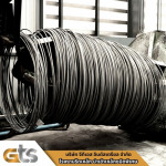 GTS INDUSTRIAL COMPANY LIMITED