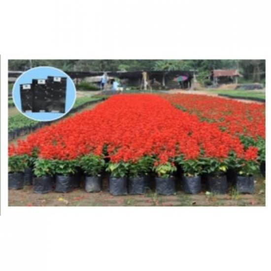 Nonthaburi Nursing Bag Nonthaburi Nursing Bag 