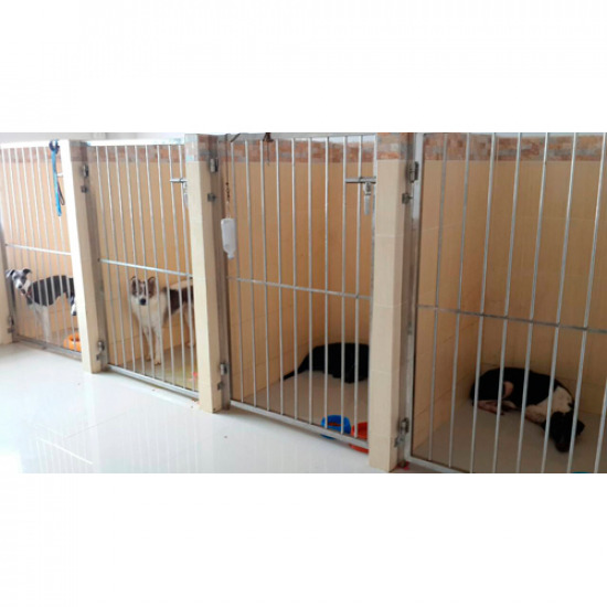 รักษาสัตว์ รักษาสัตว์ 