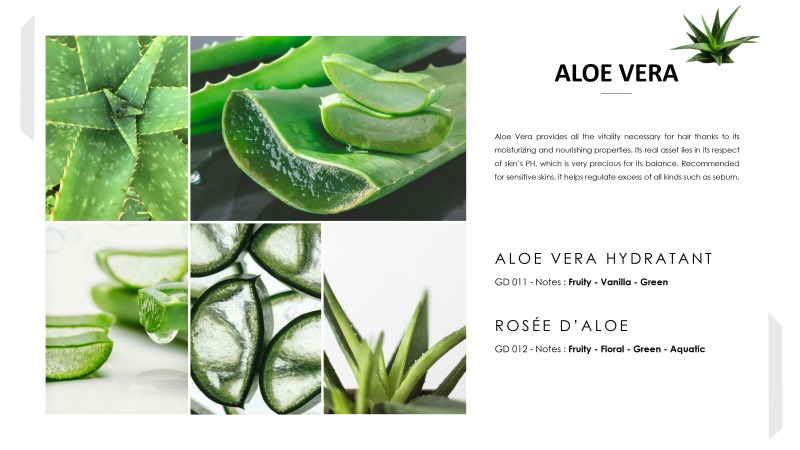 หัวน้ำหอมใส่แชมพูสระผม Aloe Vera หัวน้ำหอมใส่แชมพูสระผม Aloe Vera